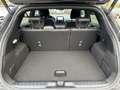 Ford Puma 1.0 EcoBoost MHEV ST-Line Vignale Navi Leder Digit Grau - thumbnail 18