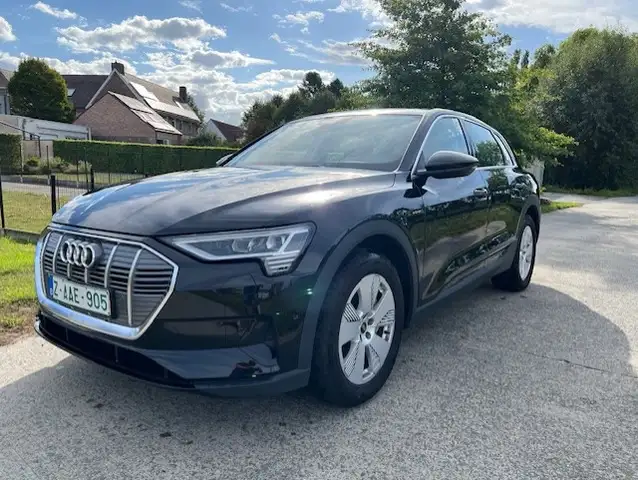 Audi Q8 e-tron E-Tron 95 kWh 55 Quattro Advanced *Navi*Leder*Lane*Keyless* 30.750+BTW