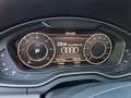 Audi Q5 Q5 2.0 TDi Quattro S tronic Verde - thumbnail 15