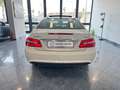 Mercedes-Benz E 220 cdi Amg Avantgarde Tetto Led Tagliandi Stupenda Blanc - thumbnail 5