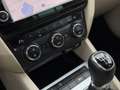 Skoda Octavia Octavia SW 1.6 CR TDi Style Blau - thumbnail 19