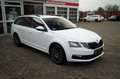 Skoda Octavia 1.5 TSI Combi Allwetter Tüv&Service Neu Blanco - thumbnail 3