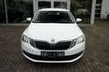 Skoda Octavia 1.5 TSI Combi Allwetter Tüv&Service Neu Blanco - thumbnail 2