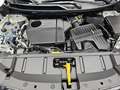 Nissan X-Trail X-TRAIL 1.5 VC-T E-POWER AUTO. N-CONNECTA LM19 Білий - thumbnail 16