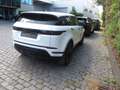 Land Rover Range Rover Evoque D180 SE Weiß - thumbnail 3
