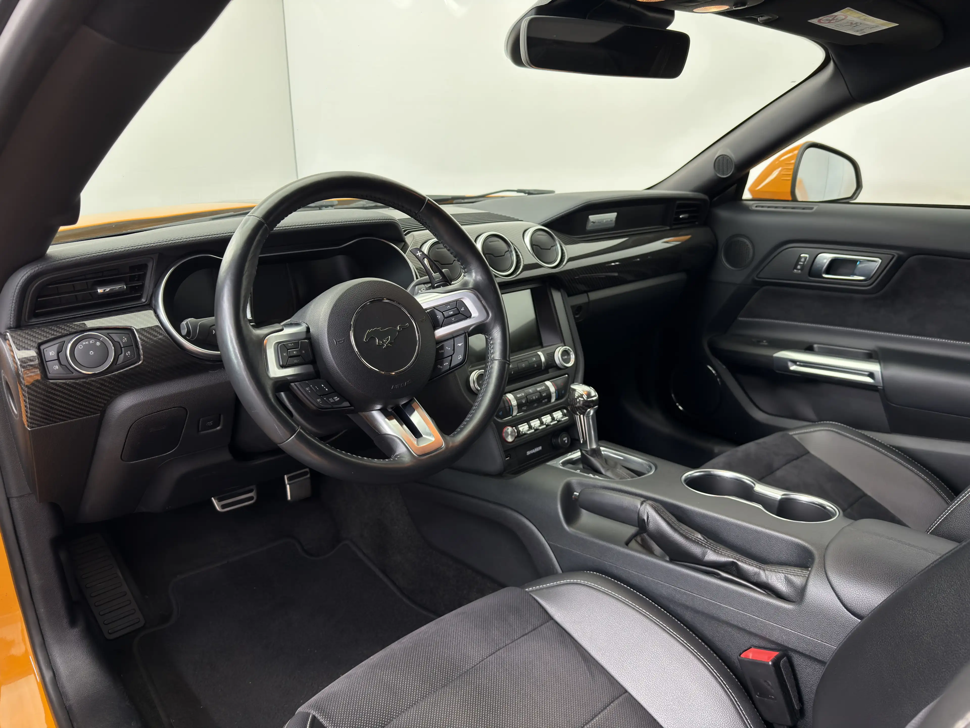 Ford Mustang GT Fastback|deutsch|Grail|MagneRide| — photo 9