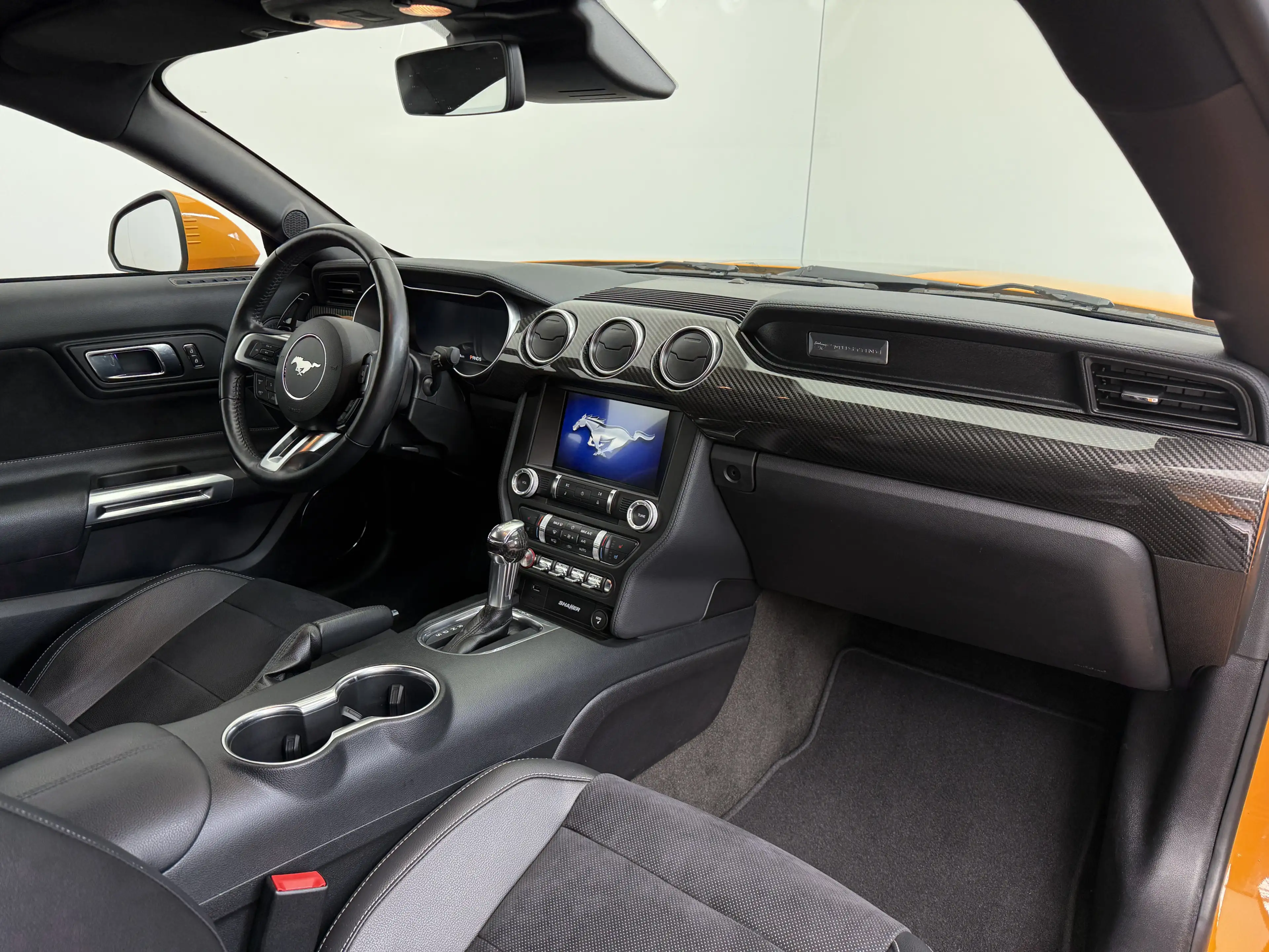 Ford Mustang GT Fastback|deutsch|Grail|MagneRide| — photo 13