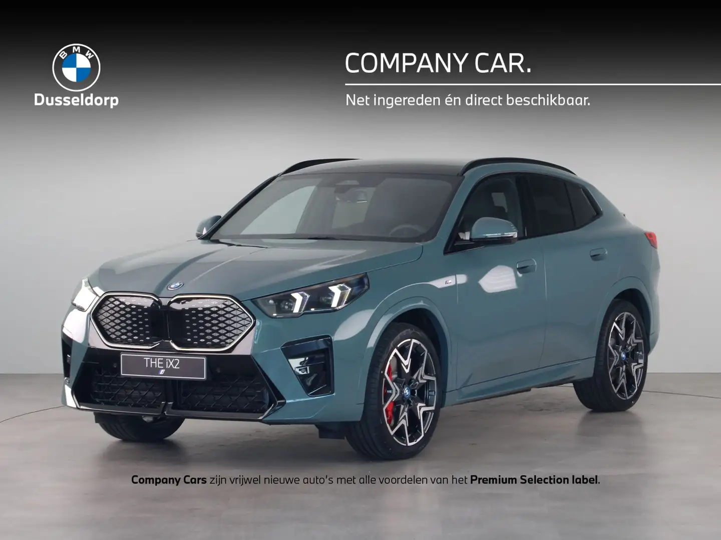 BMW iX2 eDrive20 67 kWh M Sport Edition Groen - 1