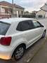 Volkswagen Polo 5p 1.2 tdi Tech&Sound - thumbnail 3