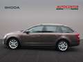 Skoda Octavia Joy Brun - thumbnail 7
