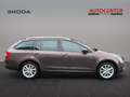Skoda Octavia Joy Brun - thumbnail 8