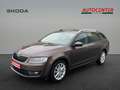 Skoda Octavia Joy Brun - thumbnail 1