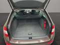 Skoda Octavia Joy Brun - thumbnail 16