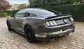 Ford Mustang 2.3 EcoBoost Showroom staat  ### 17000 km ### Gris - thumbnail 6