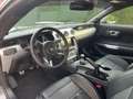 Ford Mustang 2.3 EcoBoost Showroom staat  ### 17000 km ### Gris - thumbnail 18