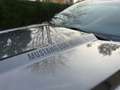Ford Mustang 2.3 EcoBoost Showroom staat  ### 17000 km ### Gris - thumbnail 12