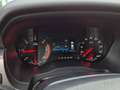 Ford Ranger Doppelkabine Raptor 4x4 2,0 EcoBlue Aut.*RFK*1.BESITZ*STHZ*MWST Raptor Grau - thumbnail 39