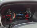Ford Ranger Doppelkabine Raptor 4x4 2,0 EcoBlue Aut.*RFK*1.BESITZ*STHZ*MWST Raptor Grau - thumbnail 37