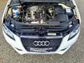 Audi A3 Cabriolet 1,2 TFSI S-LINE Exterior Paket, Top Z... Weiß - thumbnail 10