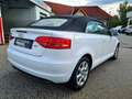 Audi A3 Cabriolet 1,2 TFSI S-LINE Exterior Paket, Top Z... Weiß - thumbnail 4