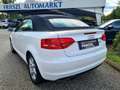 Audi A3 Cabriolet 1,2 TFSI S-LINE Exterior Paket, Top Z... Weiß - thumbnail 3
