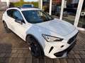 CUPRA Formentor VZ 4Drive ,ACC,Garantie 2027 Weiß - thumbnail 23