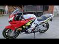 Honda CBR 600 État collector Wit - thumbnail 1