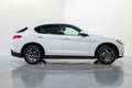 Alfa Romeo Stelvio 2.2 Sprint AWD 190 Aut. Blanco - thumbnail 7