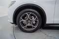Alfa Romeo Stelvio 2.2 Sprint AWD 190 Aut. Blanco - thumbnail 11