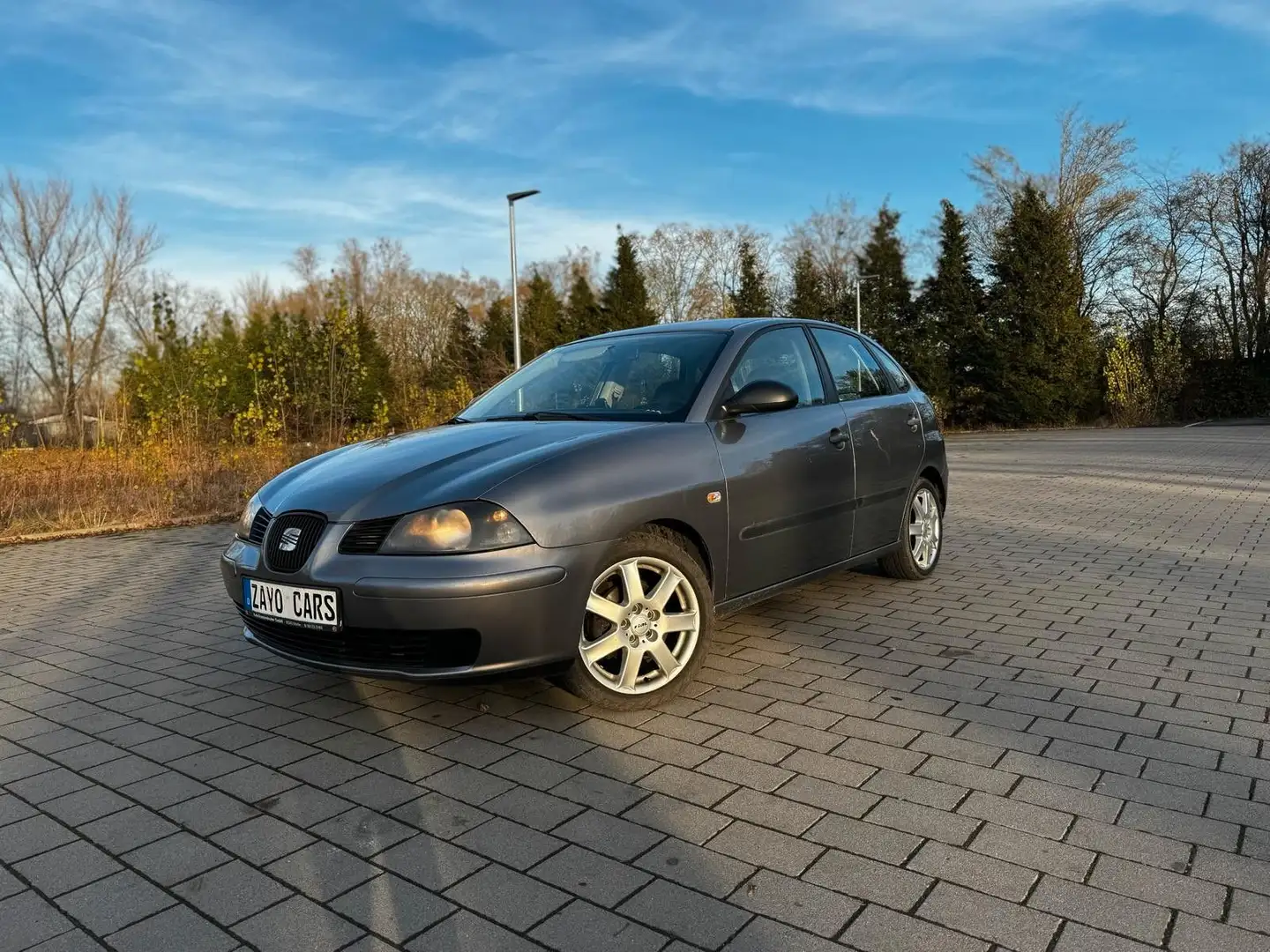 SEAT Ibiza 1.4 Reference Сірий - 1