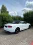Audi S5 Audi S5 Cabriolet 3.0 TFSI quattro 333 PS Navi Alb - thumbnail 8