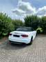 Audi S5 Audi S5 Cabriolet 3.0 TFSI quattro 333 PS Navi Alb - thumbnail 10