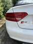 Audi S5 Audi S5 Cabriolet 3.0 TFSI quattro 333 PS Navi Alb - thumbnail 6