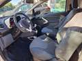 Ford Ka/Ka+ 1.2 Couture First Edition | 12 MND GARANTIE | AIRC Wit - thumbnail 17