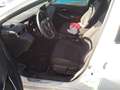 Toyota Corolla 125H Active Tech Blanco - thumbnail 10