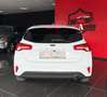 Ford Focus 1.5 EcoBlue 120 CV 5p. ST-Line Bianco - thumbnail 6
