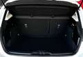 Ford Focus 1.5 EcoBlue 120 CV 5p. ST-Line Bianco - thumbnail 13