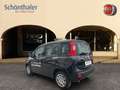 Fiat Panda 4x2 FireFly Hybrid 70 Schwarz - thumbnail 2