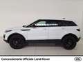 Land Rover Range Rover Evoque 5p 2.0 td4 se business edition 150cv auto my19 Bianco - thumbnail 3