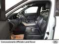 Land Rover Range Rover Evoque 5p 2.0 td4 se business edition 150cv auto my19 Bianco - thumbnail 7