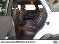 Land Rover Range Rover Evoque 5p 2.0 td4 se business edition 150cv auto my19 Bianco - thumbnail 8
