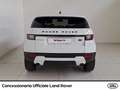Land Rover Range Rover Evoque 5p 2.0 td4 se business edition 150cv auto my19 Bianco - thumbnail 5