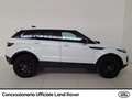 Land Rover Range Rover Evoque 5p 2.0 td4 se business edition 150cv auto my19 Bianco - thumbnail 6