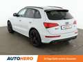 Audi SQ5 3.0 V6 TDI Plus quattro Aut.*NAVI*XENON*ACC* Weiß - thumbnail 4