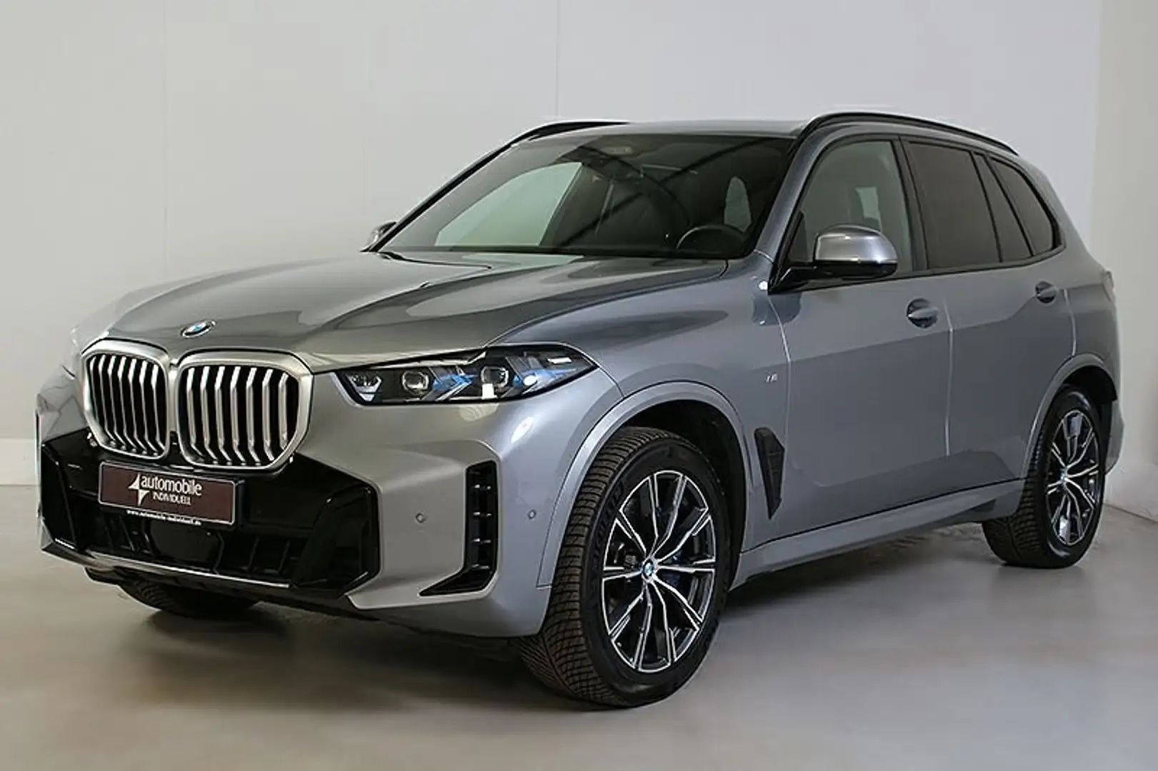 BMW X5 xDr. 30dA M Sport AHK Panor Standh Hud H&K Grau - 1