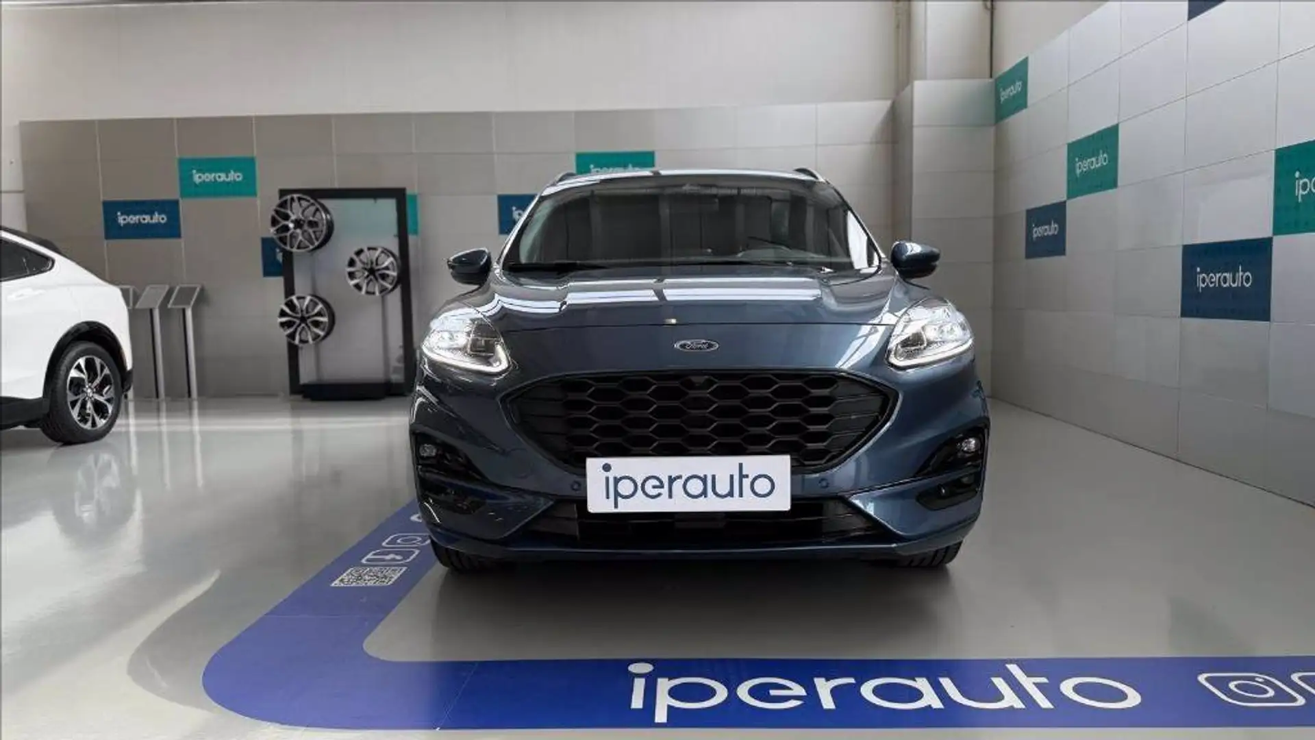 Ford Kuga 2.5 full hybrid st-line x 2wd 190cv cvt Blu/Azzurro - 2