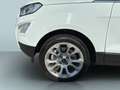 Ford EcoSport 1.0 EcoBoost TITANIUM Blanc - thumbnail 12