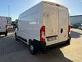 Peugeot Boxer FURGONE / VAN Blanc - thumbnail 6