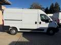 Peugeot Boxer FURGONE / VAN Blanc - thumbnail 7