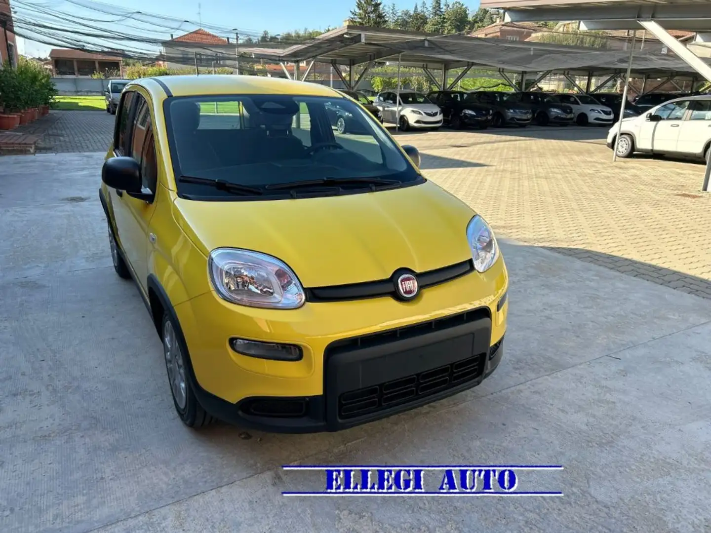 Fiat Panda PROMO FINANZ.PANDINA 1.0  Hybrid  KM  0 Giallo - 2